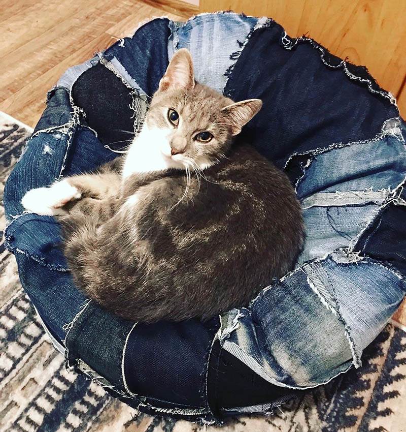 Pet bed made with reverse patchwork technique 